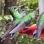 Photo taken by Cindy R