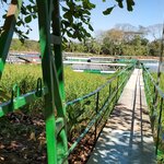 Photo taken by Garritt V