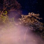 Photo taken by Wilbert A