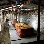 Photo taken by Tyler W