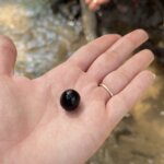 Photo taken by Bailey W