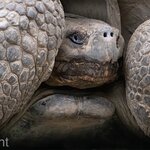 Photo taken by mindy n