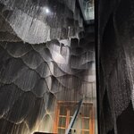 Photo taken by Bailey W