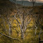 Photo taken by timothy m