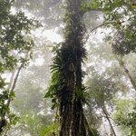 Photo taken by Mathew S