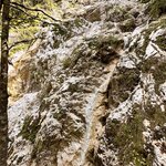 Photo taken by Jon A