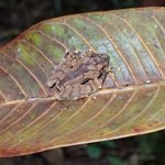 Photo taken by Graeme W