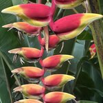 Photo taken by Judy S