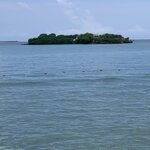 Photo taken by Claudia L