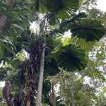 Photo taken by Kelsey D