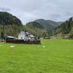 Photo taken by Susan K