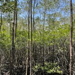 Photo taken by Kate R