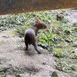 Photo taken by Emily F