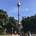 Sky tower  | Photo taken by Alfredo H