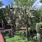 Photo taken by Norma G