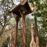 Photo taken by Shaula L