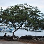 Photo taken by Natascia V