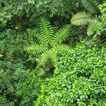 Photo taken by Kristy P