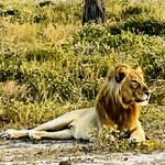 Photo taken by Peter L