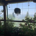 Photo taken by Christine R