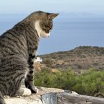 Photo taken by David B