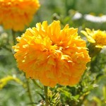 - | Photo taken by Karen W