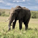 Photo taken by Virginia H