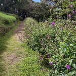 Photo taken by Victoria E