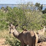 Photo taken by rhonda c