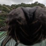 Photo taken by Ben S