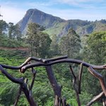 Photo taken by Dineia P