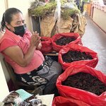 Photo taken by Priya R