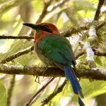 Photo taken by KLAUS A