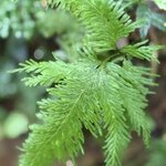 Photo taken by Carrie N