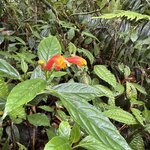 Photo taken by Bert B