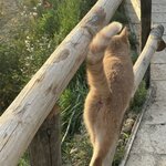 Photo taken by Daniel D