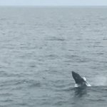 Photo taken by Sandra R