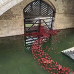 Photo taken by Lorna W