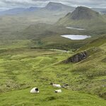 Photo taken by Anne W