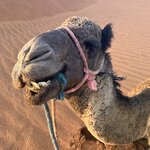 Photo taken by BARBARA A