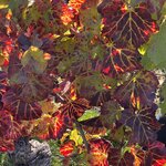 Photo taken by Charles H