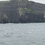 Photo taken by Ellen D