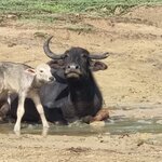 Photo taken by Tanya G