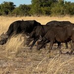 Photo taken by Tom B