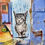 Photo taken by Marcello A