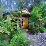 Photo taken by Camille S