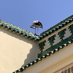 Photo taken by Jennifer H