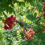 Photo taken by Joe S