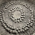 Photo taken by Nima P