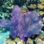 Photo taken by Nancy L